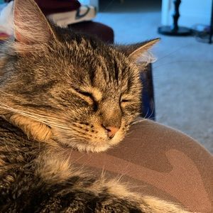 Meet your Posher, Susan